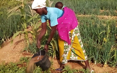 Activités à Ouahigouya: janvier à mars 2024